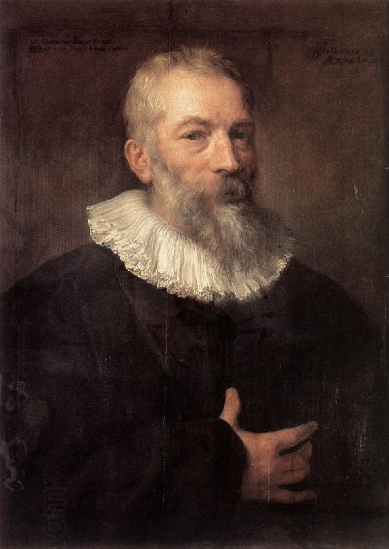DYCK, Sir Anthony Van Portrait of the Artist Marten Pepijn dfg oil painting picture